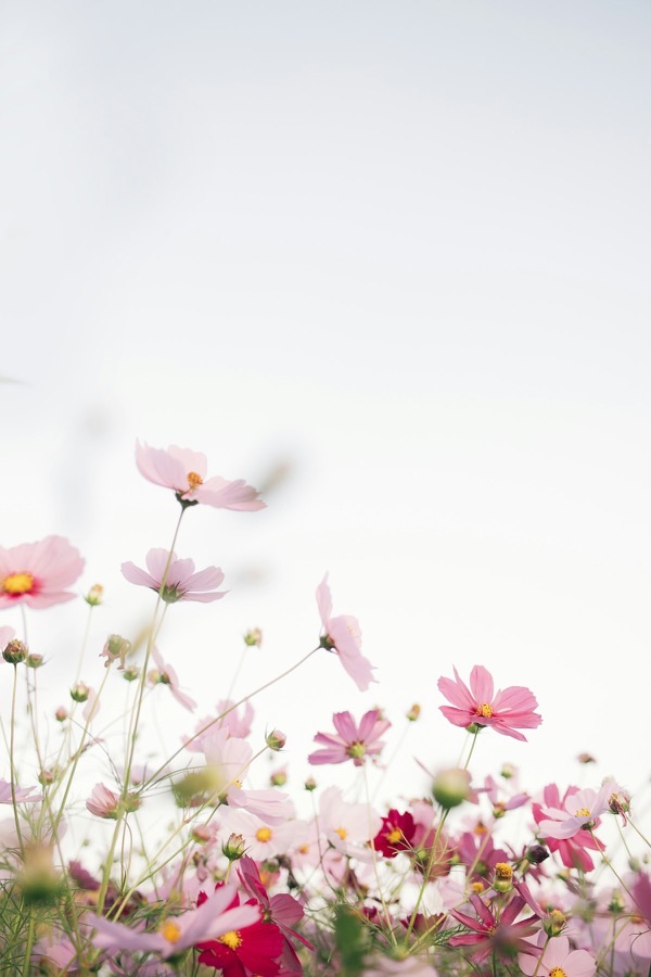 How Journaling Changed My Prayer Life